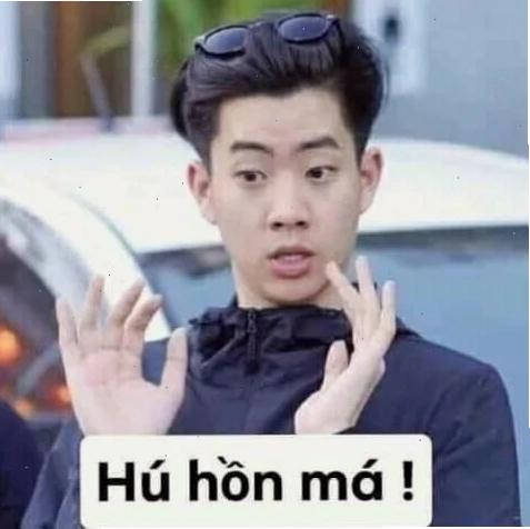 meme hết hồn cún