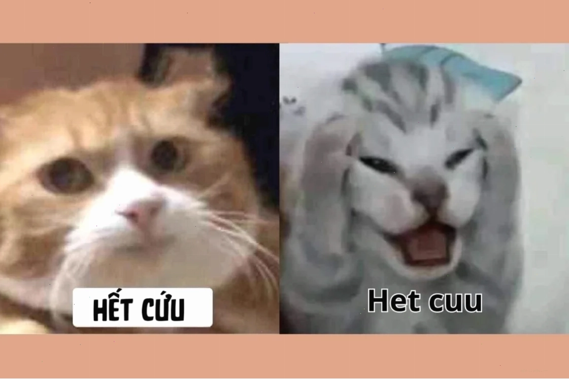 Meme hét nhỏ