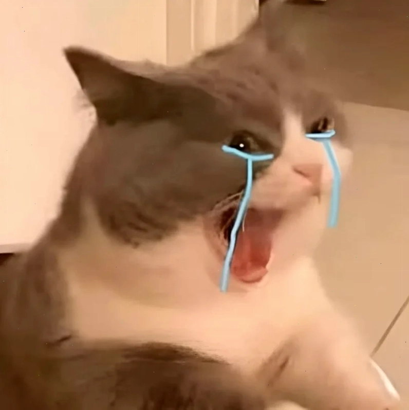 Meme hét vui mừng