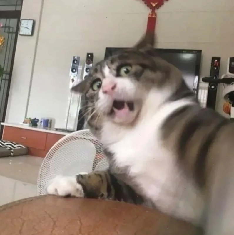 Meme hoảng loạn