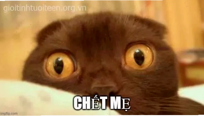 meme hoảng sợ