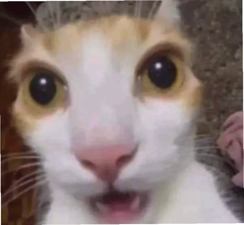 meme hoảng sợ