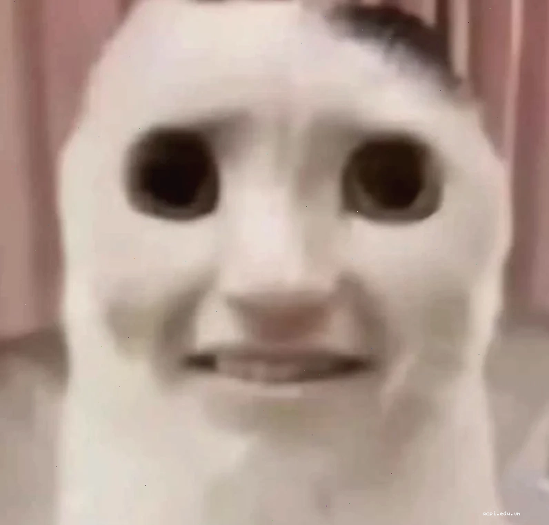 meme hoảng sợ