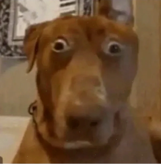 meme hoảng sợ