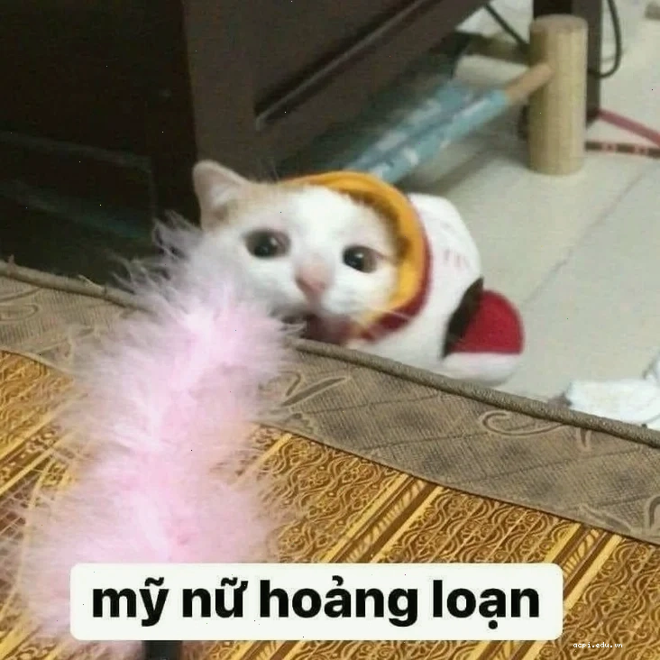 meme hoảng sợ
