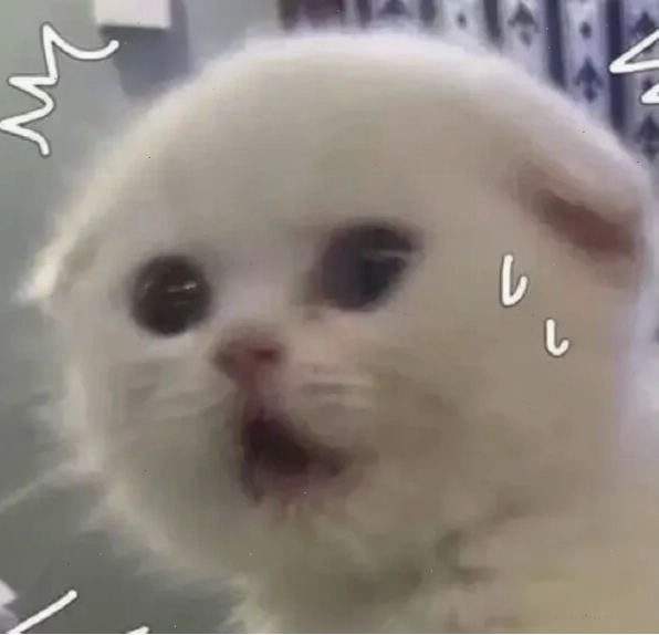 meme hoảng sợ