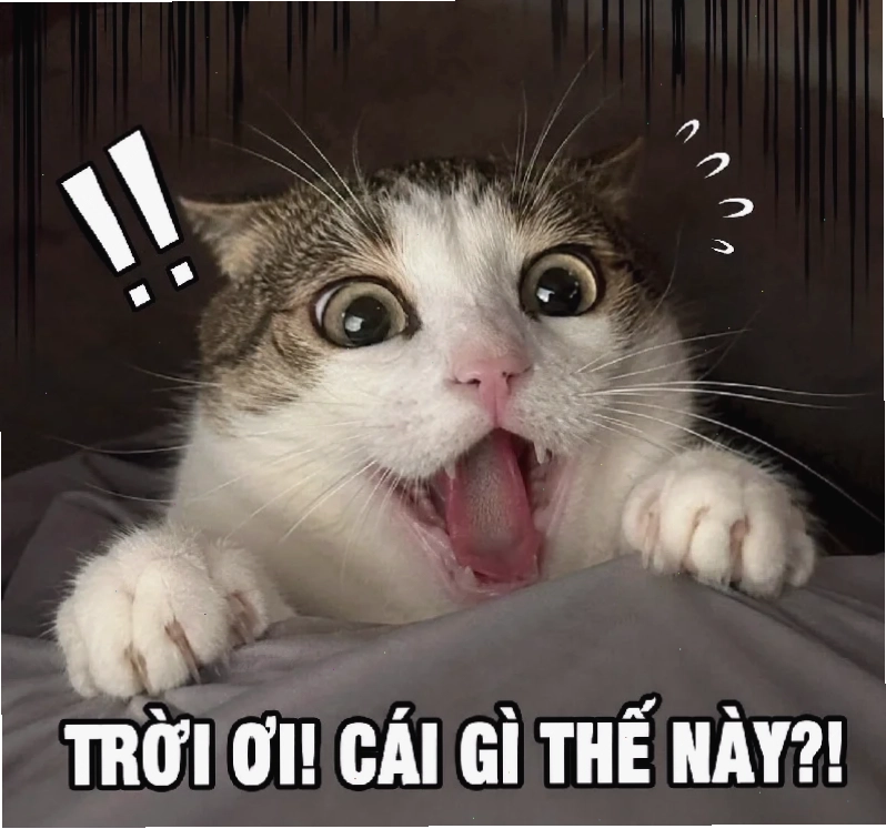 meme hoảng sợ