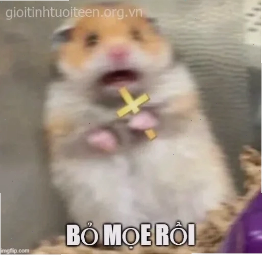 meme hoảng sợ