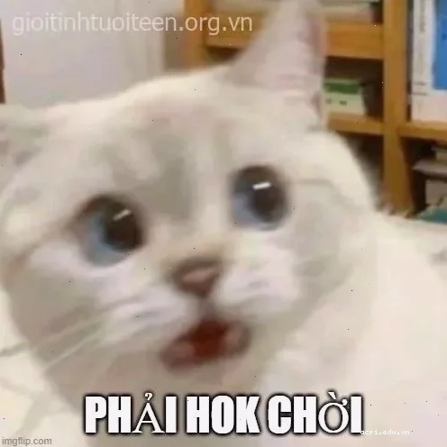 meme hoảng sợ