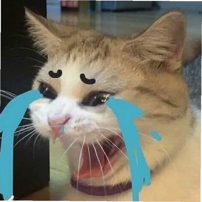 meme hoảng sợ