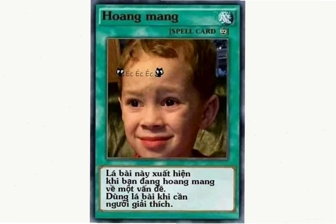 Meme học bài chữ nhỏ