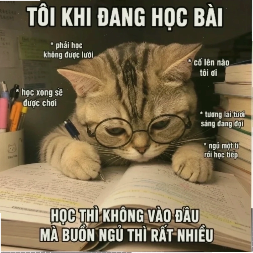 Meme học bài chưa với gương mặt hoang mang