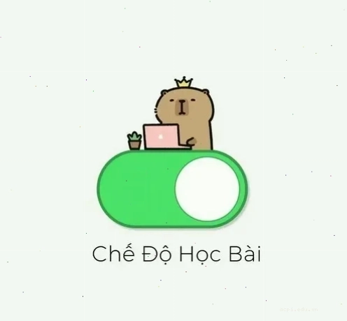 Meme học bài deadline dí