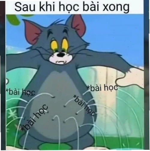 Meme học bài đơ toàn tập