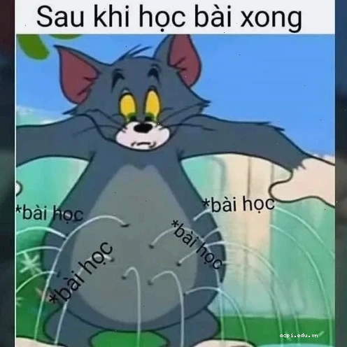 Meme học bài đơ toàn tập
