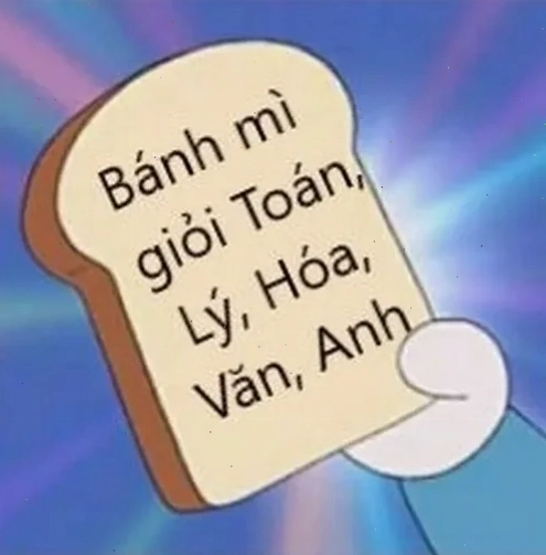 Meme học bài giáo trình mở