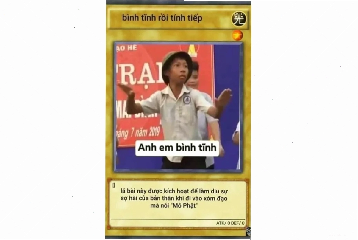 Meme học bài mèo ồn