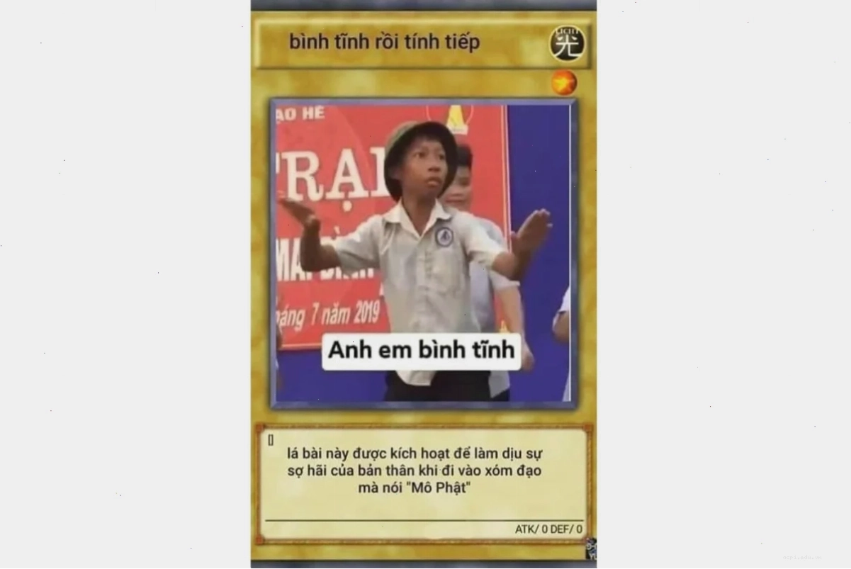 Meme học bài mèo ồn