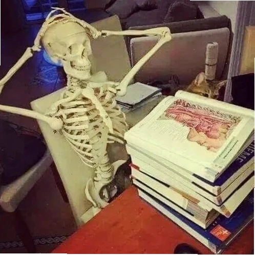 Meme học bài thiếu ngủ