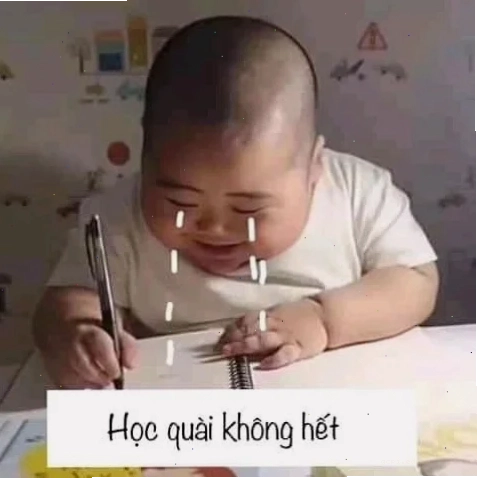 Meme học bài thời khóa biểu