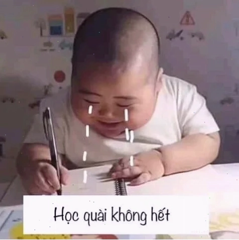 Meme học bài thời khóa biểu