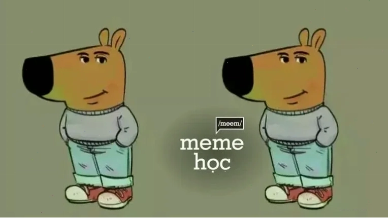 Meme học bài xuyên đêm trong thư viện
