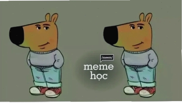 Meme học bài xuyên đêm trong thư viện