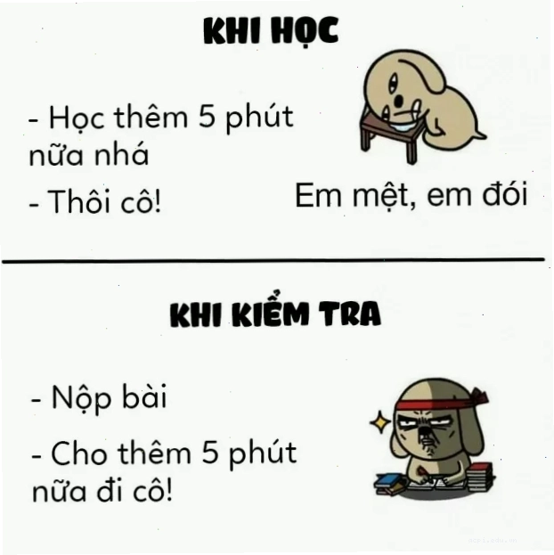 meme học tập