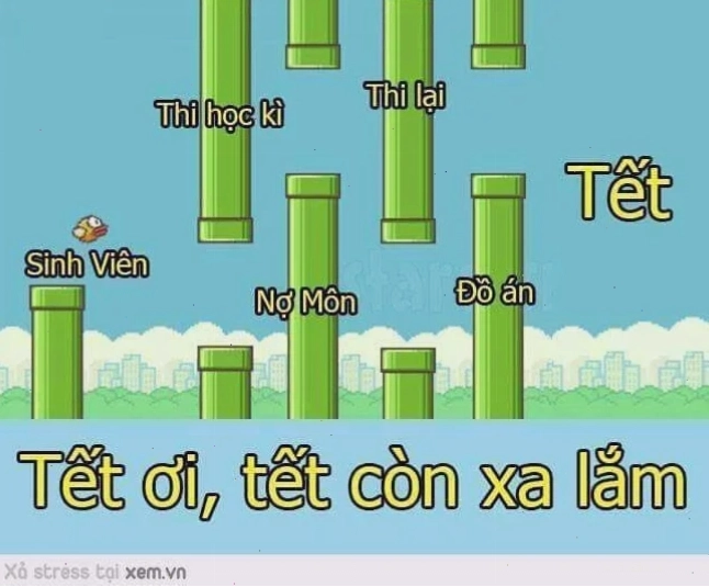 meme học tập