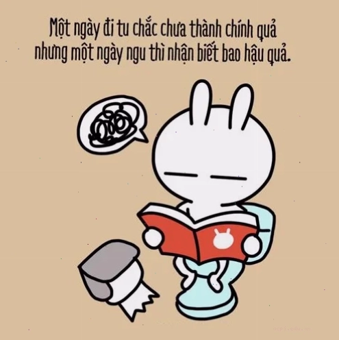 meme học tập