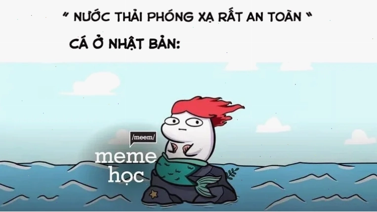 meme học tập