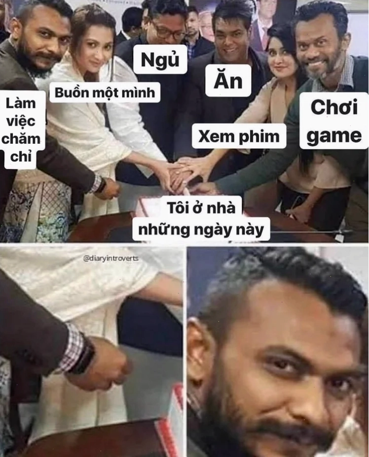 meme học tập