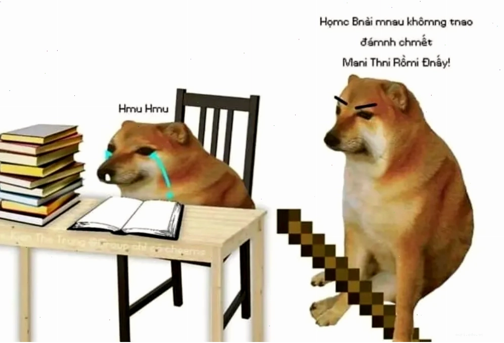 meme học tập