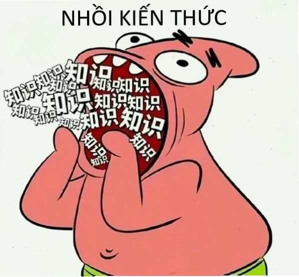 meme học tập