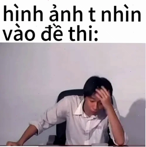 meme học tập