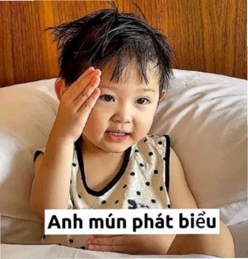 meme học tập