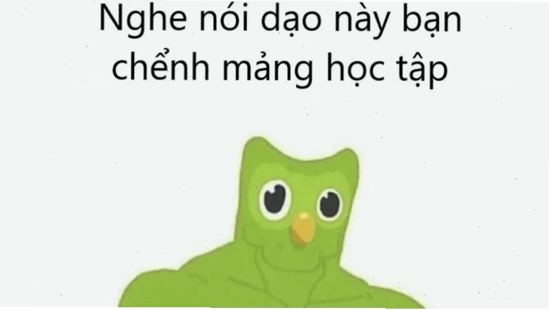 meme học tập