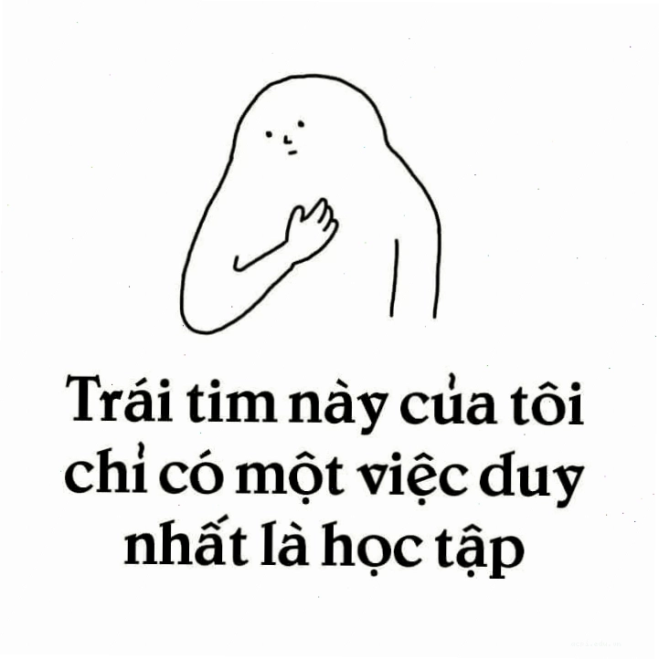 meme học tập