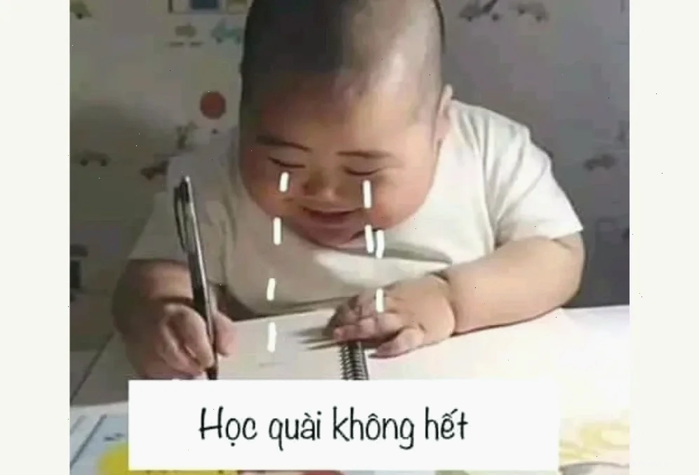meme học tập vui nhộn