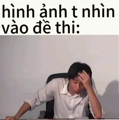 meme học tiếng anh
