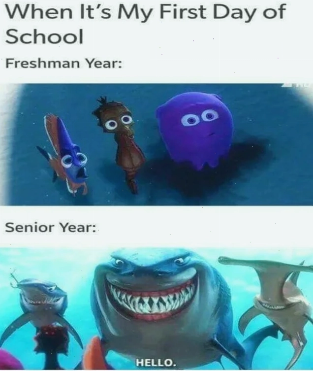 meme học tiếng anh