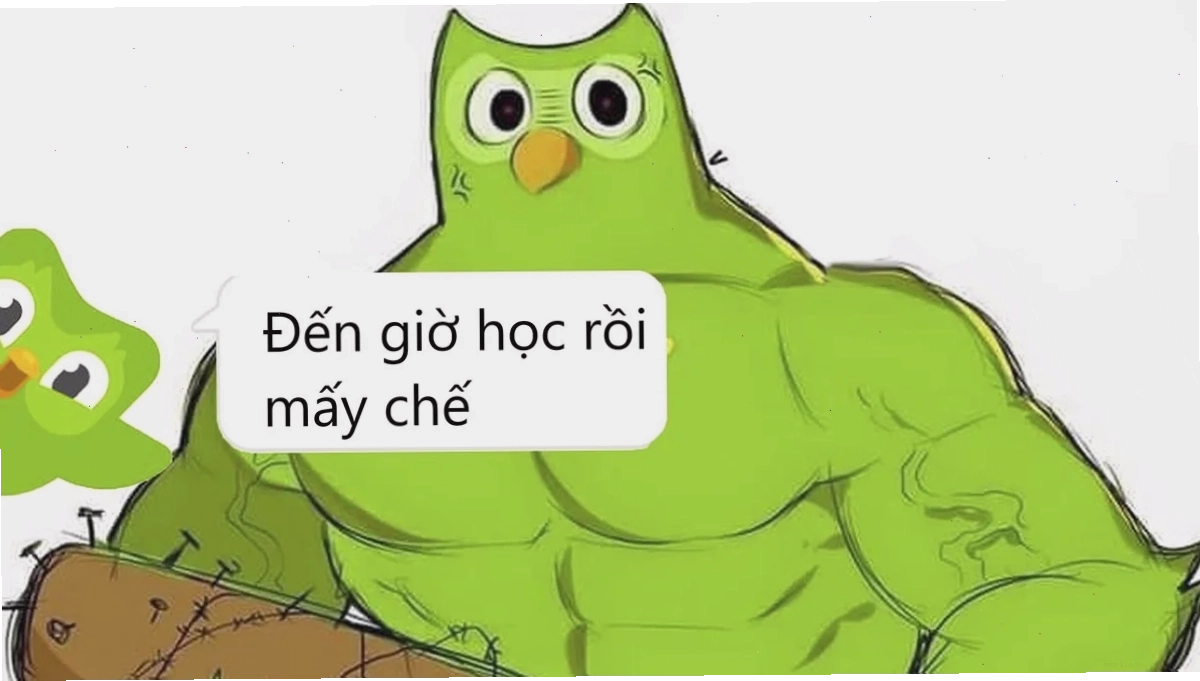 meme học tiếng anh