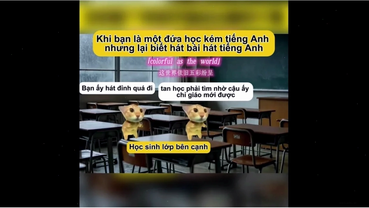 meme học tiếng anh