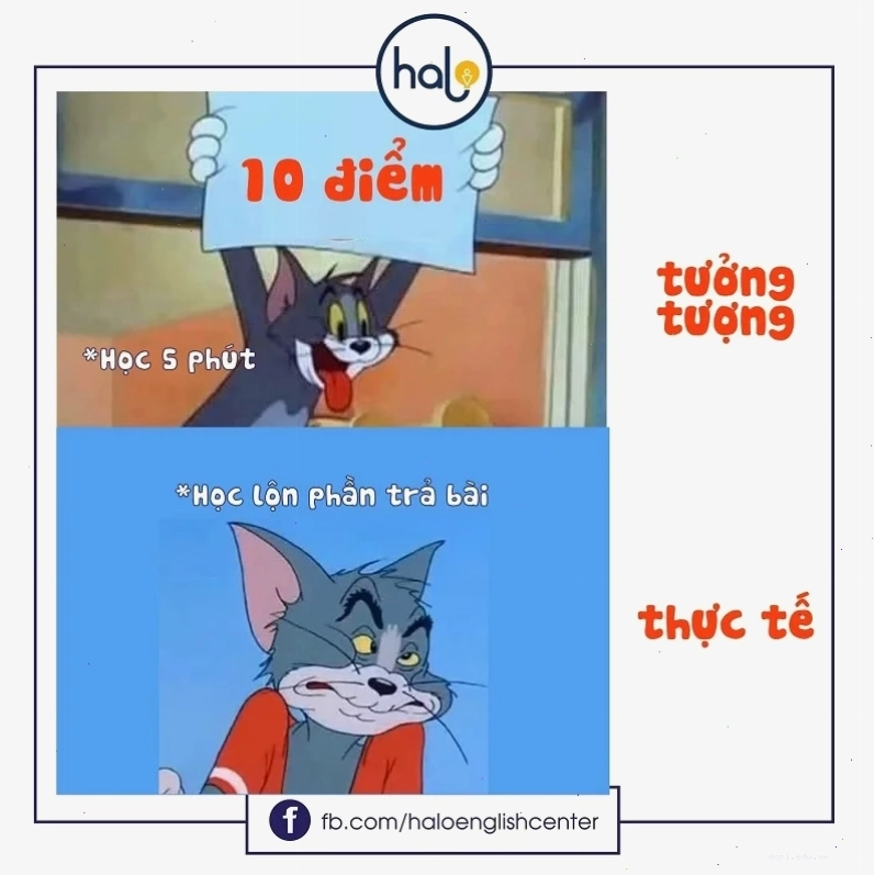 meme học tiếng anh