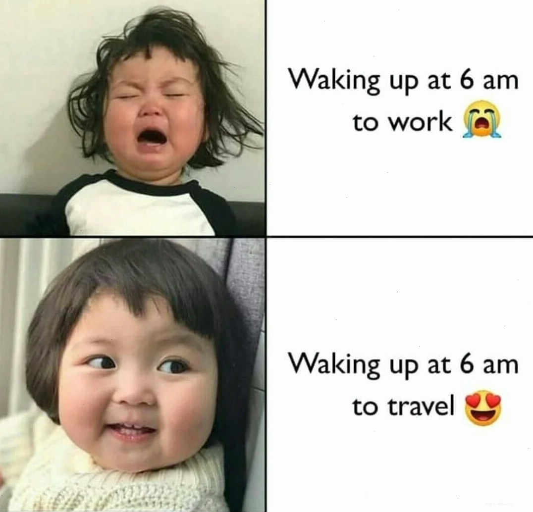 meme học tiếng anh