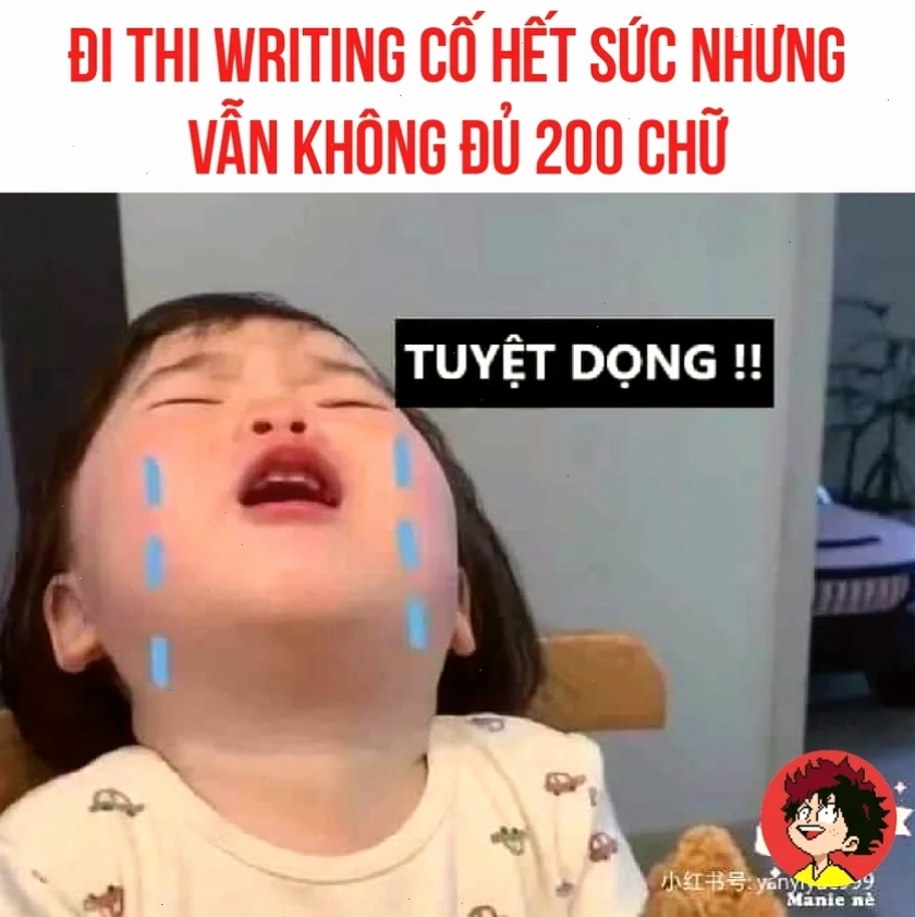 meme học tiếng anh