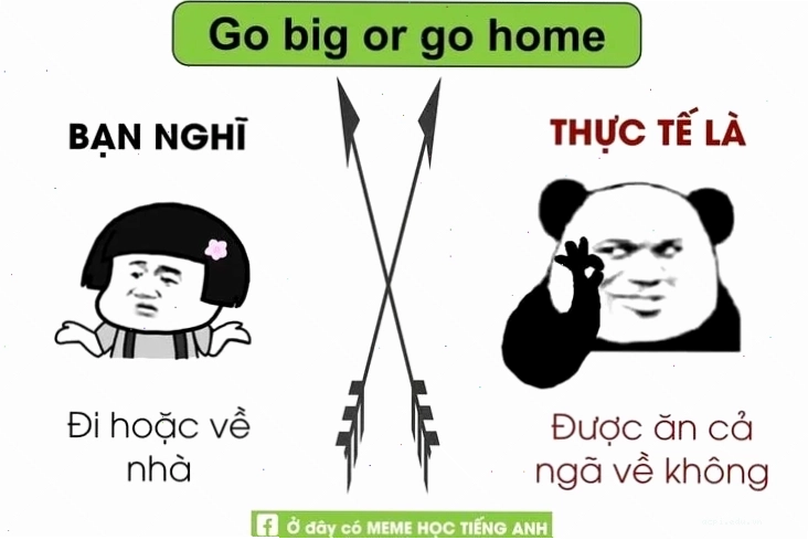 meme học tiếng anh hài hước