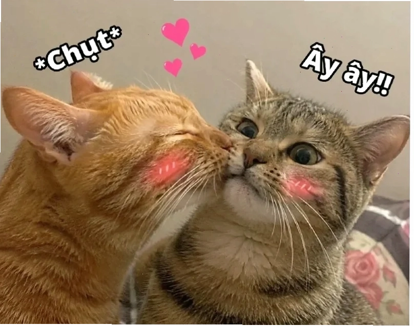 meme hôn bất ngờ