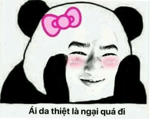 meme hôn chó