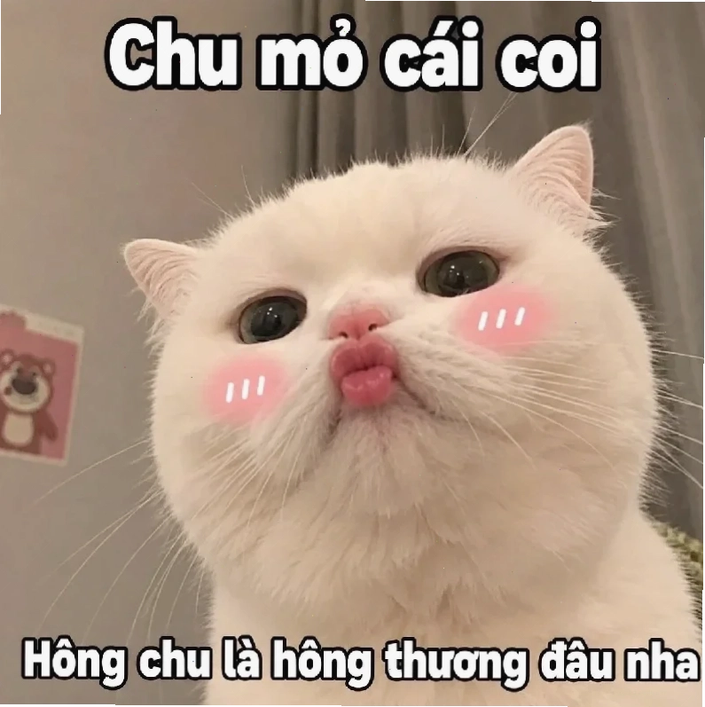 meme hôn trong mơ